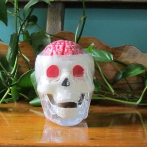 skull candle 17-WP-Con-S-1002