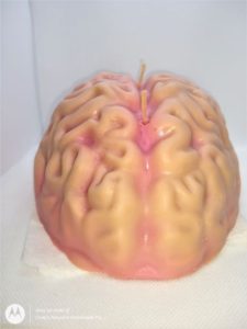 Human brain w/red core