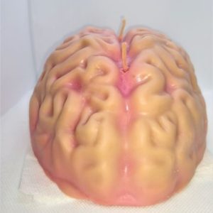 Human brain w/red core