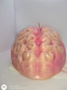 human brain w/red core-3wicks