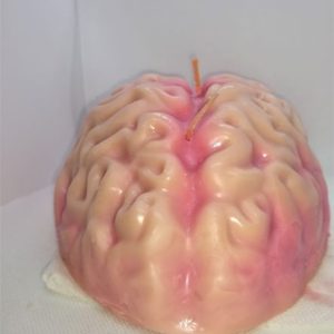 human brain w/red core-3wicks