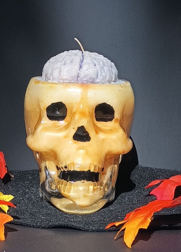 he D Skull candle 24-WP-Con-S-1003